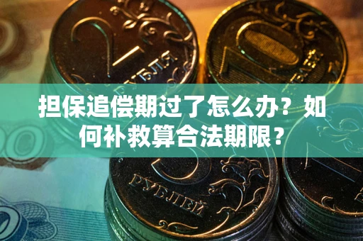 北京担保追偿期过了怎么办？如何补救算合法期限？