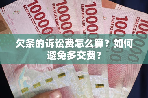 北京欠条的诉讼费怎么算？如何避免多交费？