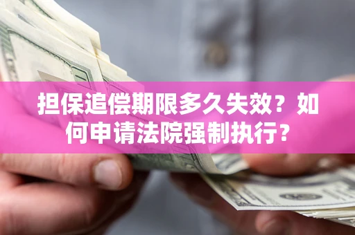 北京担保追偿期限多久失效？如何申请法院强制执行？