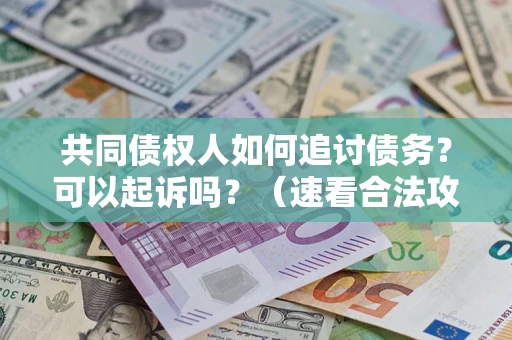 北京共同债权人如何追讨债务？可以起诉吗？（速看合法攻略）