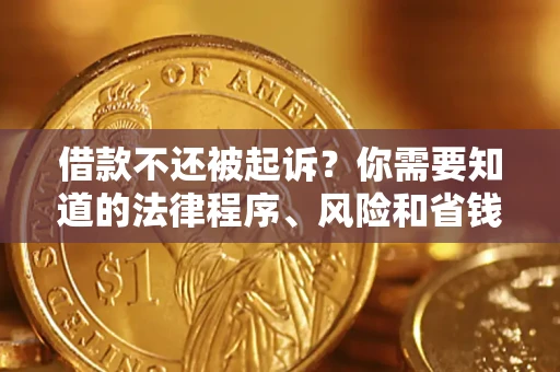 北京借款不还被起诉？你需要知道的法律程序、风险和省钱技巧